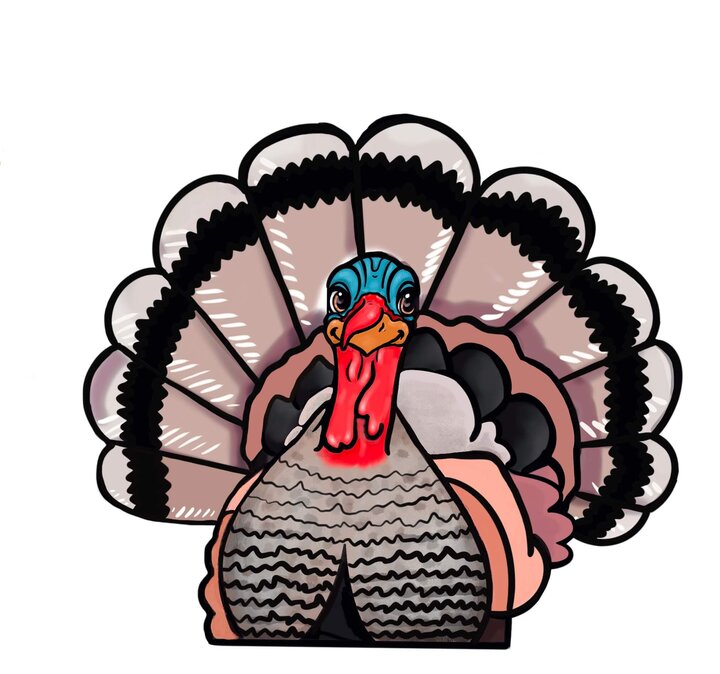 Nebraska Heritage Turkeys logo